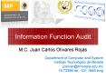 Information Function Audit PowerPoint PPT Presentation