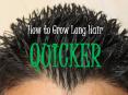 How to Grow Long Hair QUICKER PowerPoint PPT Presentation