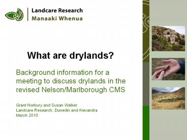 What are drylands?