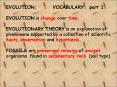 EVOLUTION: VOCABULARY  part 1 PowerPoint PPT Presentation
