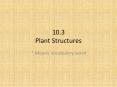 10.3 Plant Structures PowerPoint PPT Presentation