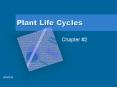 Plant Life Cycles PowerPoint PPT Presentation