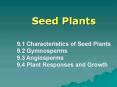 Seed Plants PowerPoint PPT Presentation