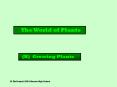 The World of Plants PowerPoint PPT Presentation
