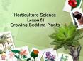 Horticulture%20Science%20Lesson%2051%20Growing%20Bedding%20Plants PowerPoint PPT Presentation