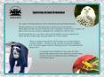 The study of animal behaviour is both interesting and practically important. PowerPoint PPT Presentation
