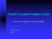 French Execution budget system