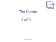 The Human