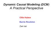 Dynamic Causal Modeling (DCM) A Practical Perspective