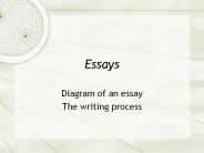 Essays