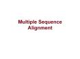 Multiple Sequence Alignment PowerPoint PPT Presentation