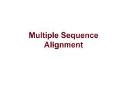 Multiple Sequence Alignment