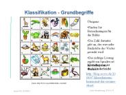 Klassifikation - Grundbegriffe