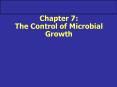Chapter 7: The Control of Microbial Growth PowerPoint PPT Presentation