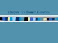 Chapter%2012-%20Human%20Genetics PowerPoint PPT Presentation