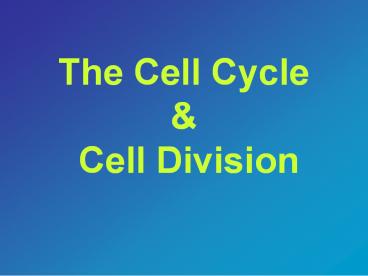 The Cell Cycle