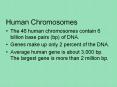 Human%20Chromosomes PowerPoint PPT Presentation
