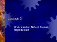 Understanding Natural Animal Reproduction PowerPoint PPT Presentation