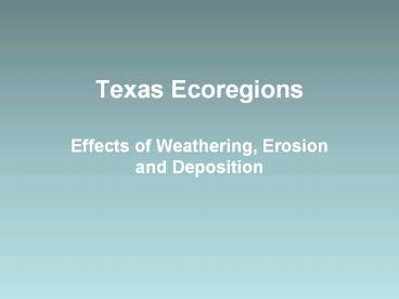 Texas%20Ecoregions