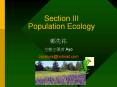 Section III Population Ecology PowerPoint PPT Presentation