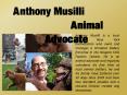 Anthony Musilli – Animal Advocate PowerPoint PPT Presentation