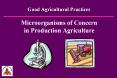 Good%20Agricultural%20Practices PowerPoint PPT Presentation