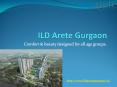 ILD Arete PowerPoint PPT Presentation