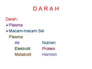 D A R A H
