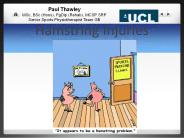 Hamstring Injuries