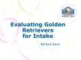 Evaluating Golden Retrievers for Intake PowerPoint PPT Presentation