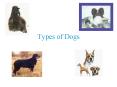 Types of Dogs PowerPoint PPT Presentation