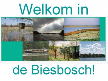 Welkom in