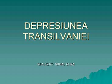 DEPRESIUNEA%20TRANSILVANIEI