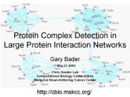 Protein%20Complex%20Detection%20in%20Large%20Protein%20Interaction%20Networks