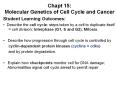 Chapt 15: Molecular Genetics of Cell Cycle and Cancer PowerPoint PPT Presentation