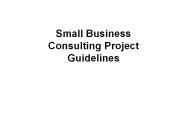 Small Business Consulting Project Guidelines