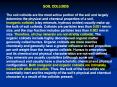 The soil colloids are the most active portion of the soil and largely determine the physical and chemical properties of a soil. PowerPoint PPT Presentation
