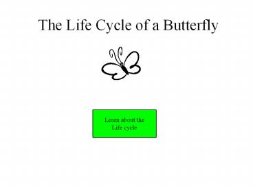 The Life Cycle of a Butterfly