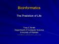 Bioinformatics The Prediction of Life PowerPoint PPT Presentation