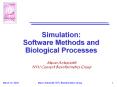 Simulation: Software Methods and Biological Processes PowerPoint PPT Presentation