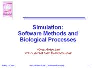 Simulation: Software Methods and Biological Processes