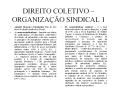 DIREITO COLETIVO  PowerPoint PPT Presentation