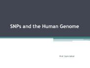 SNPs%20and%20the%20Human%20Genome
