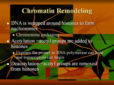 Chromatin Remodeling