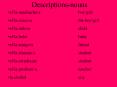 Descriptions-nouns PowerPoint PPT Presentation