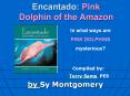 Encantado: Pink Dolphin of the Amazon PowerPoint PPT Presentation