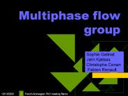 Multiphase flow group
