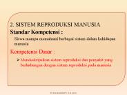 2. SISTEM REPRODUKSI MANUSIA