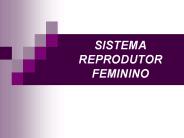 SISTEMA REPRODUTOR FEMININO