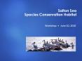 Salton Sea Species Conservation Habitat PowerPoint PPT Presentation